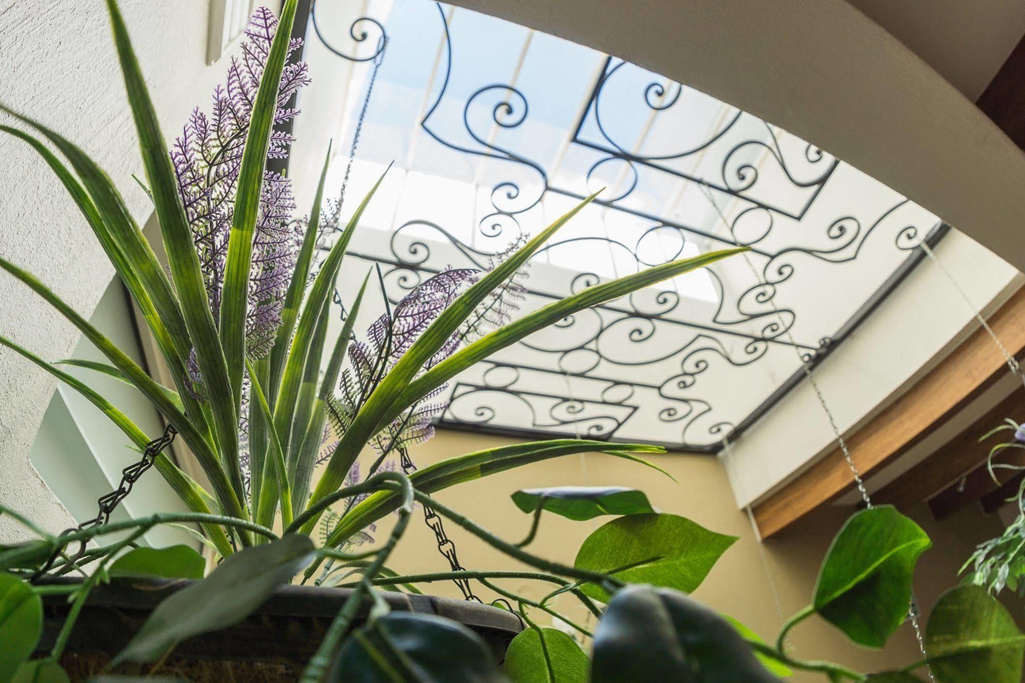 San Pietro Boutique Hotel Tlaquepaque Eksteriør billede